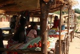 Marketed produce