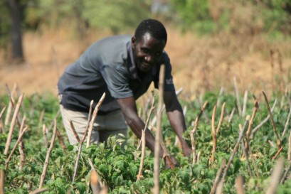 Farming