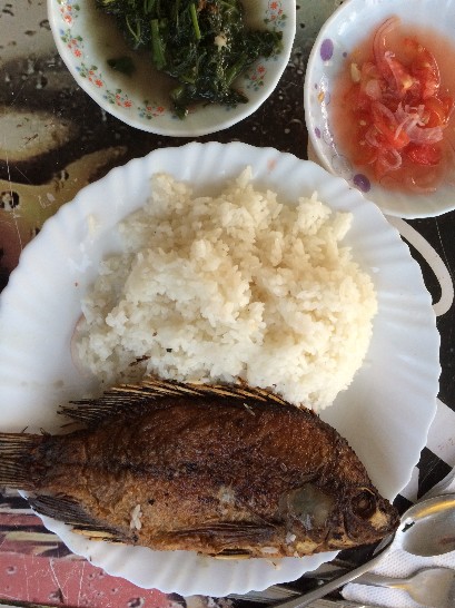 The fish